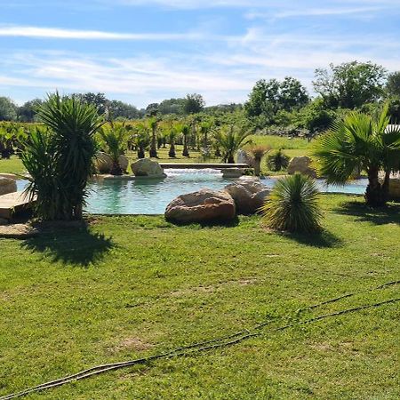 Le Mas Des Cerisiers Jacuzzi Et Sauna Inclus Pour Tous Les Logements Avignon Exterior photo