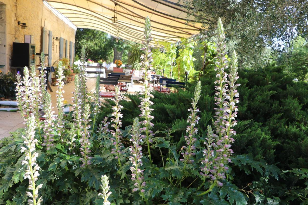 Le Mas Des Cerisiers Jacuzzi Et Sauna Inclus Pour Tous Les Logements Avignon Exterior photo