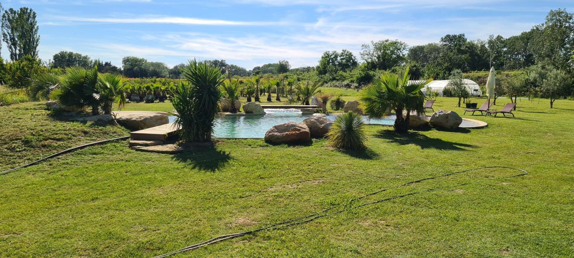 Le Mas Des Cerisiers Jacuzzi Et Sauna Inclus Pour Tous Les Logements Avignon Exterior photo